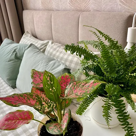 Coral Bay - Beachfront With Free Parking Apartament Warna