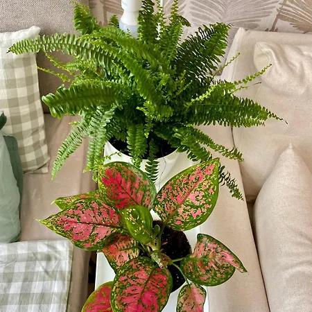 Coral Bay - Beachfront With Free Parking Várna