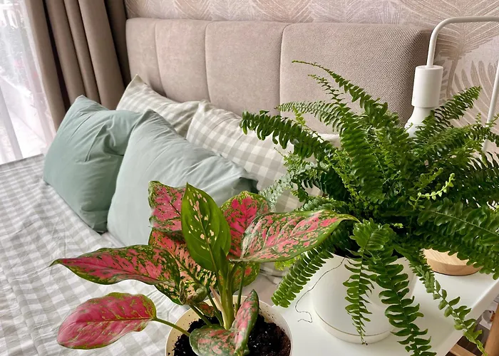 Coral Bay - Beachfront With Free Parking Appartement Varna