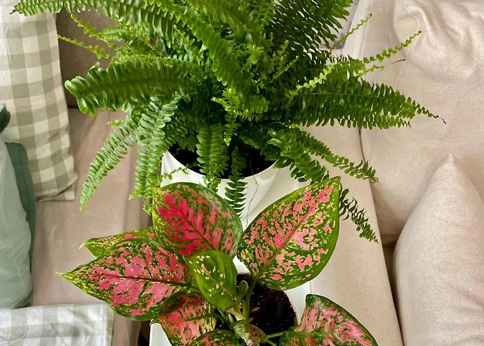 Coral Bay - Beachfront With Free Parking Варна